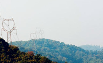 多賬號電力用戶如何簽訂《購售電合同》?