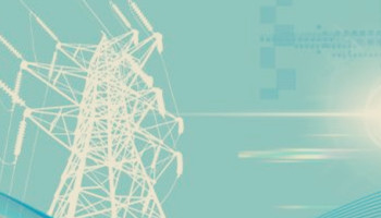 浙江省可以對已經(jīng)注冊生效的售電公司，但注冊信息不符者進行舉報