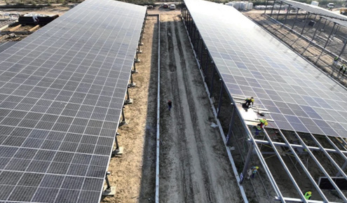 華能山東高青唐坊牧光互補(bǔ)光伏電站項(xiàng)目